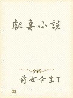 献妻小说封面