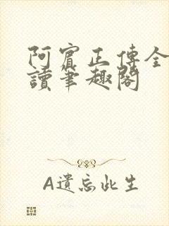 阿宾正传全文阅读笔趣阁