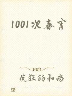 1001次春宵封面