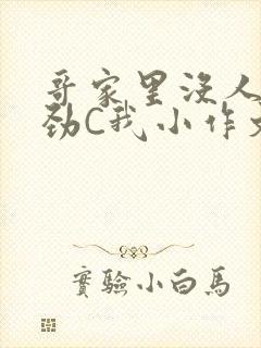 哥家里没人使点劲C我小作文封面