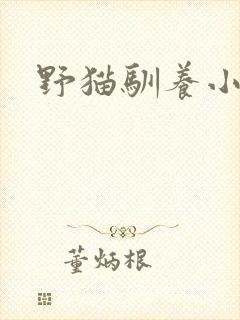 野猫驯养小说