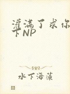 灌满了求你们停下NP