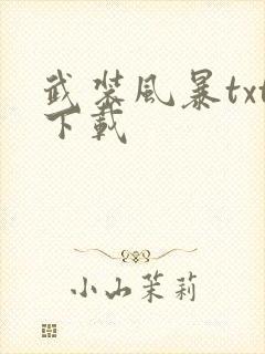 武装风暴txt下载