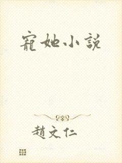 宠她小说