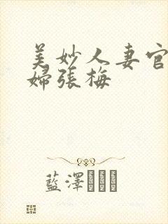 美妙人妻官场少妇张梅封面