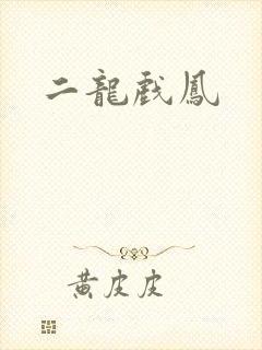 二龙戏凤