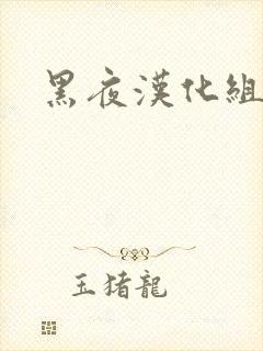 黑夜汉化组