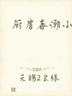 厨房春潮小说封面