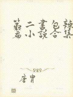 第二书包辣网短篇小说合集封面