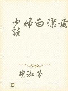 少妇白洁黄色小说