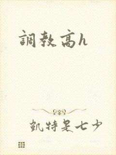 调教高h