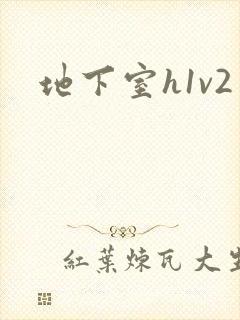 地下室h1v2