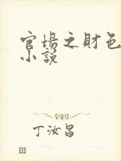 官场之财色诱人小说