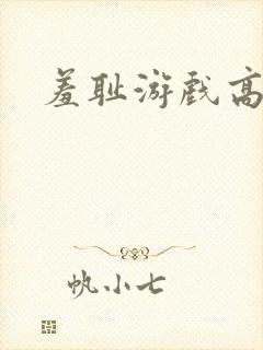 羞耻游戏高h封面