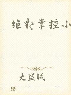 绝对掌控小说