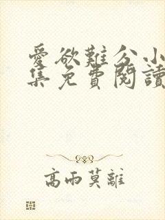 爱欲难分小说全集免费阅读封面