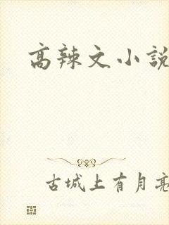 高辣文小说封面