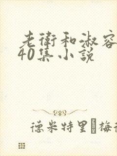 老卫和淑容1-40集小说封面