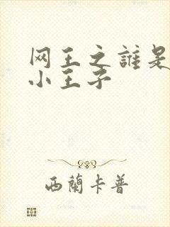 网王之谁是我的小王子