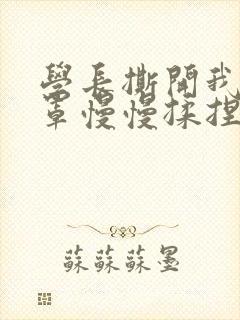 学长撕开我的乳罩慢慢揉捏小说