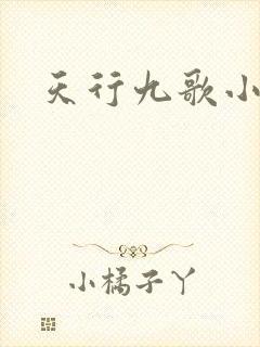天行九歌小说