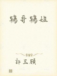 鸨哥鸨姐封面