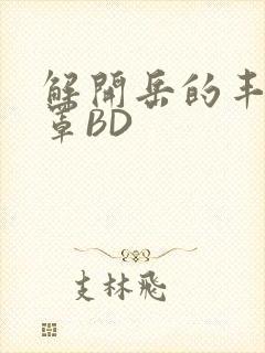 解开岳的丰满奶罩BD