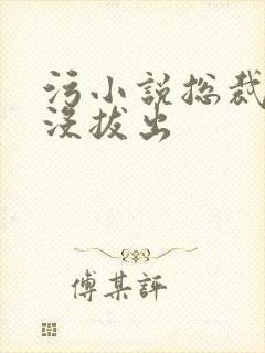 污小说总裁整夜没拔出封面