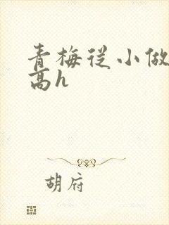 青梅从小做到大高h