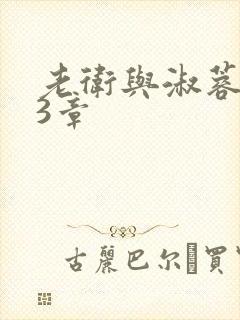 老卫与淑蓉第13章