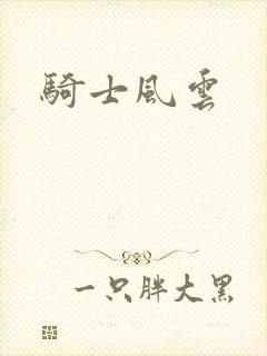 骑士风云