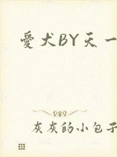 爱犬BY天一封面