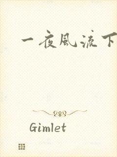 一夜风流下载