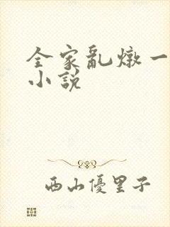 全家乱炖一锅烩小说