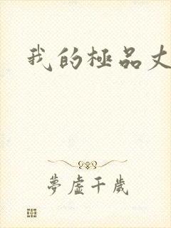 我的极品丈母娘