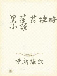 黑莲花攻略手册小说