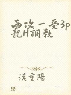 两攻一受3p双龙H调教