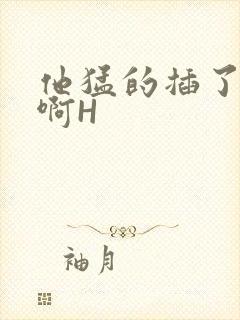 他猛的插了进去啊H