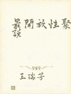 最开放性聚会小说封面