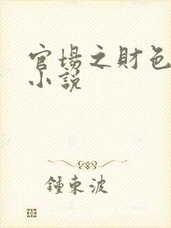 官场之财色诱人小说