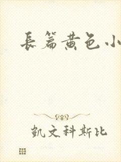 长篇黄色小说封面