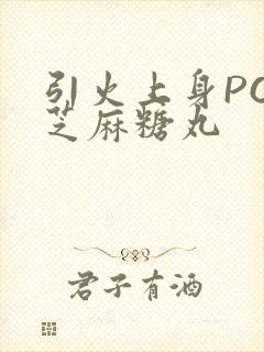 引火上身POP芝麻糖丸