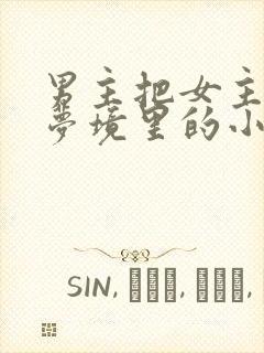 男主把女主拖进梦境里的小说