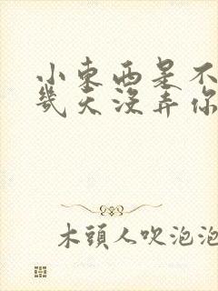 小东西是不是好几天没弄你了封面