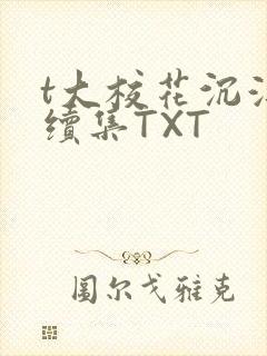 t大校花沉浮录续集TXT