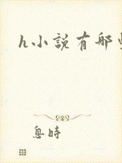 h小说有哪些封面