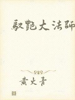 驭艳大法师封面