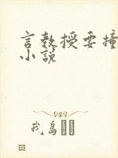 言教授要撞坏了小说