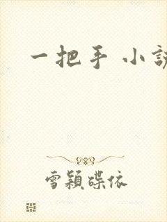 一把手 小说