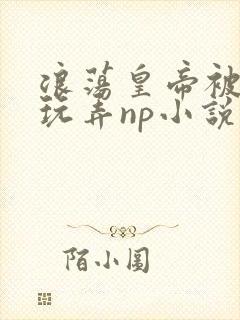 浪荡皇帝被多人玩弄np小说